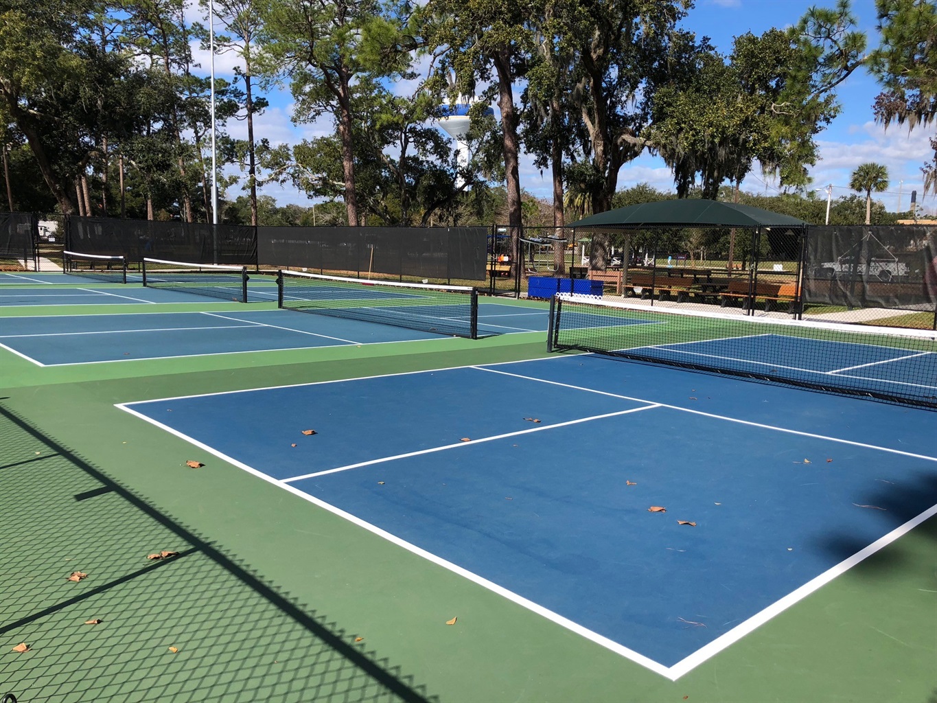 Pickleball on Amelia Island