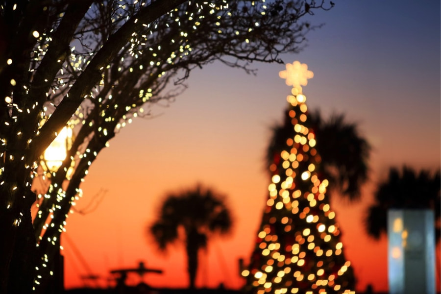 Christmas tree on Amelia Island lit up during sunset