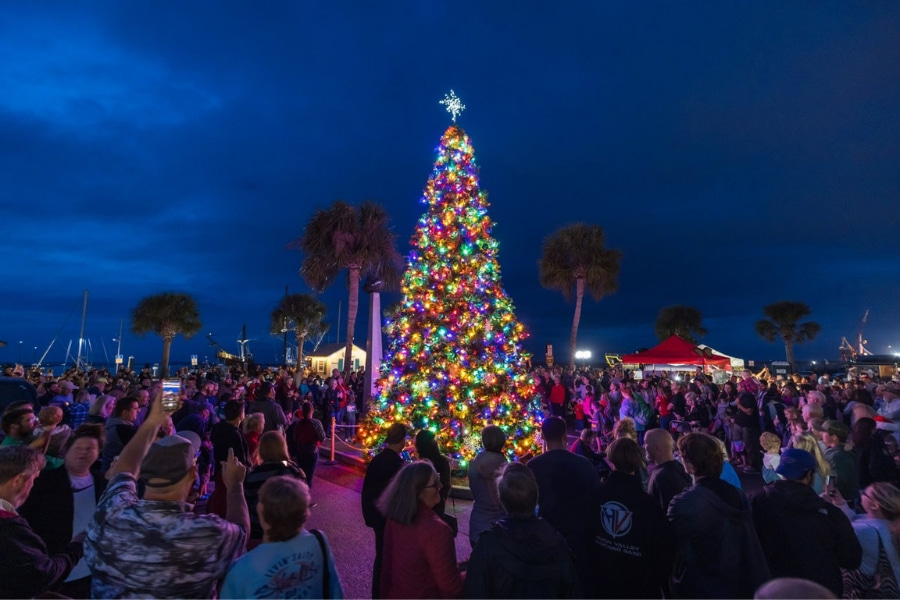 group gathered at Amelia Island Christmas tree lighting at night time